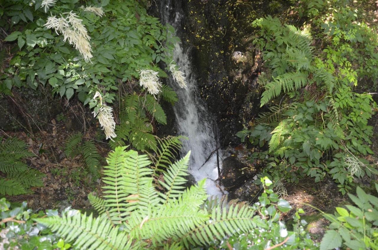 Anma Cottages The Secret Garden Pianello Del Lario Bagian luar foto