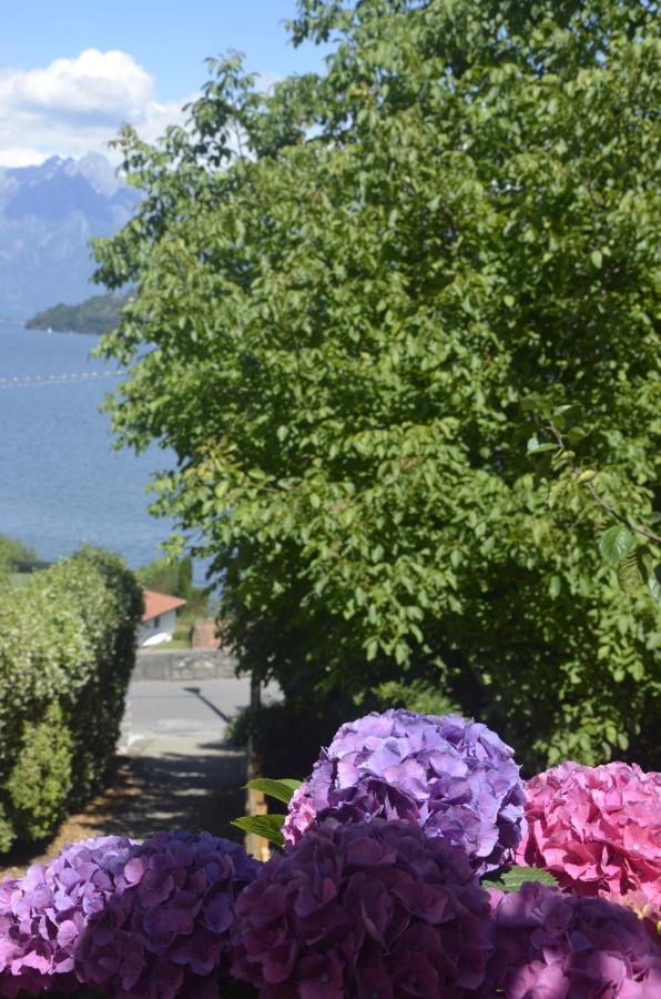 Anma Cottages The Secret Garden Pianello Del Lario Bagian luar foto