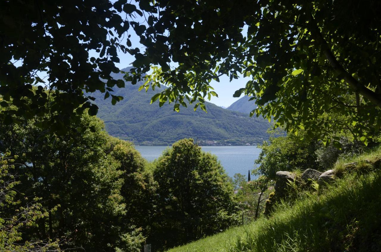 Anma Cottages The Secret Garden Pianello Del Lario Bagian luar foto